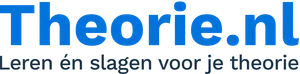 Logo Theorie.nl